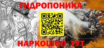 spice Севастополь
