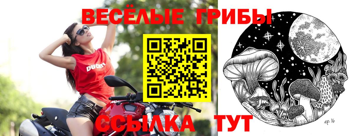 Псилоцибиновые грибы Psilocybine cubensis  Вход с VPN  Приморско-Ахтарск 
